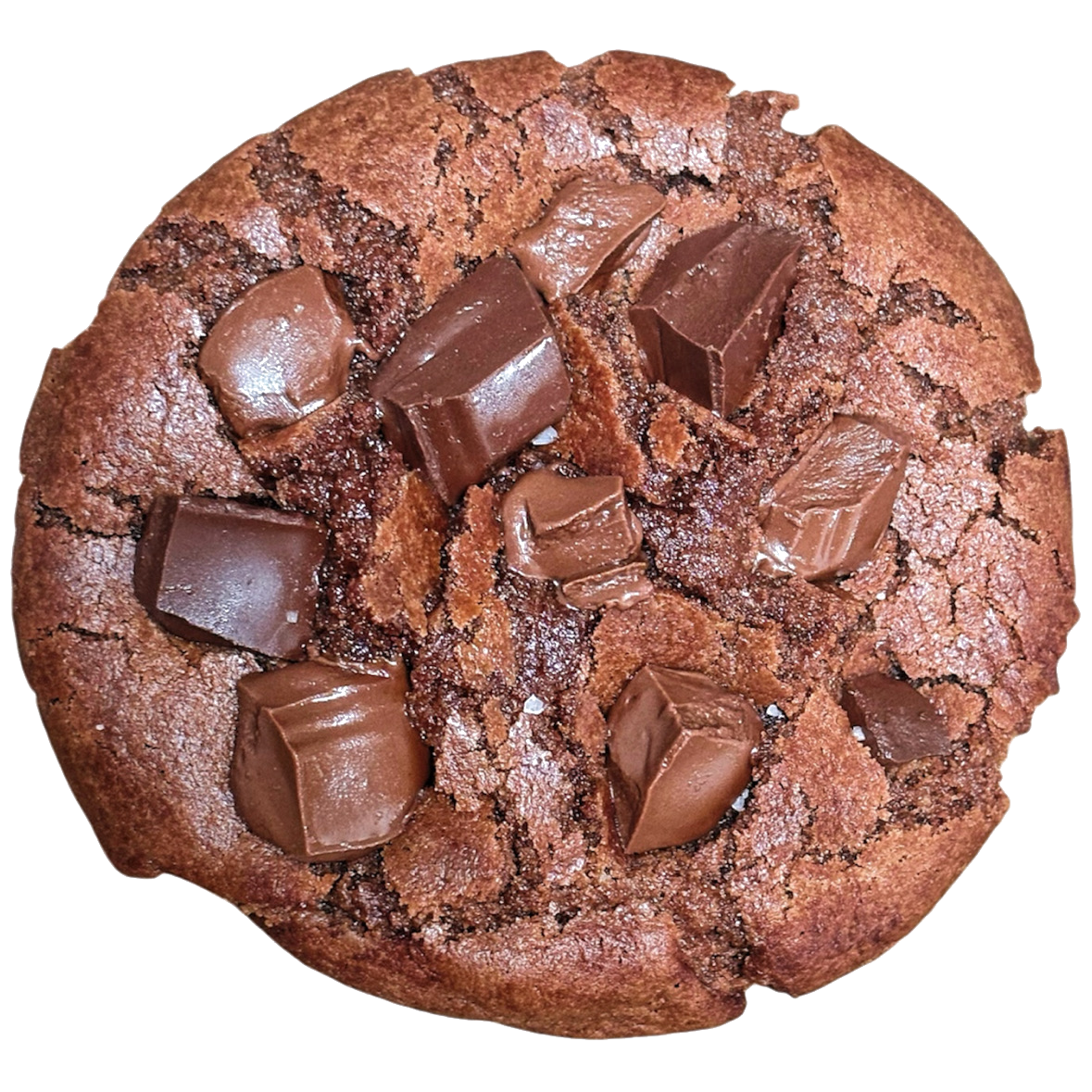 Cookie Tout Choco — pâte cacao foncée, gros chunks de chocolat au lait et noir fondants en surface.